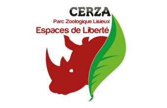 Cerza