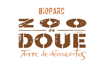 zoo-boue