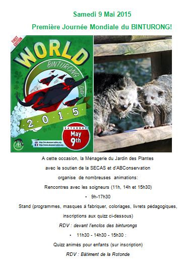 Affiche binturong 4