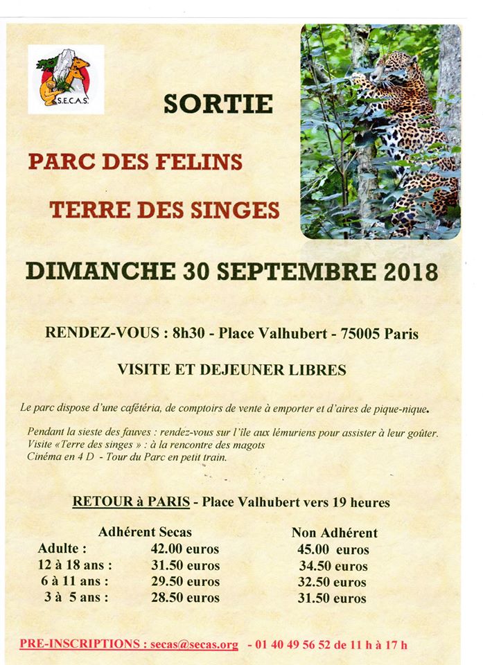 rencontre avec les fauves