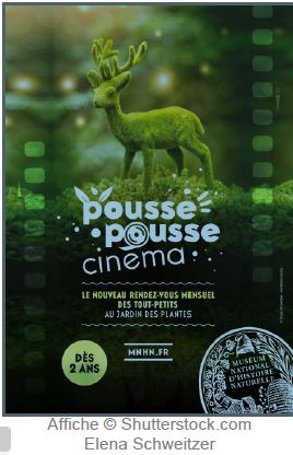 Affiche pouse pousse 1