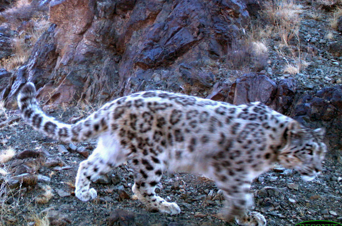 Anou1 modifiee modifie 2