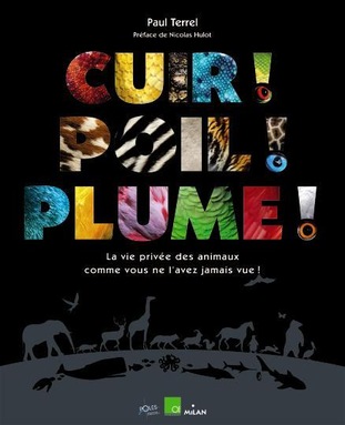 Cuir poil plume la vie privee des animaux comme vous ne l avez jamais vue ouvrage large