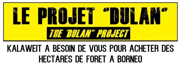 Dulan