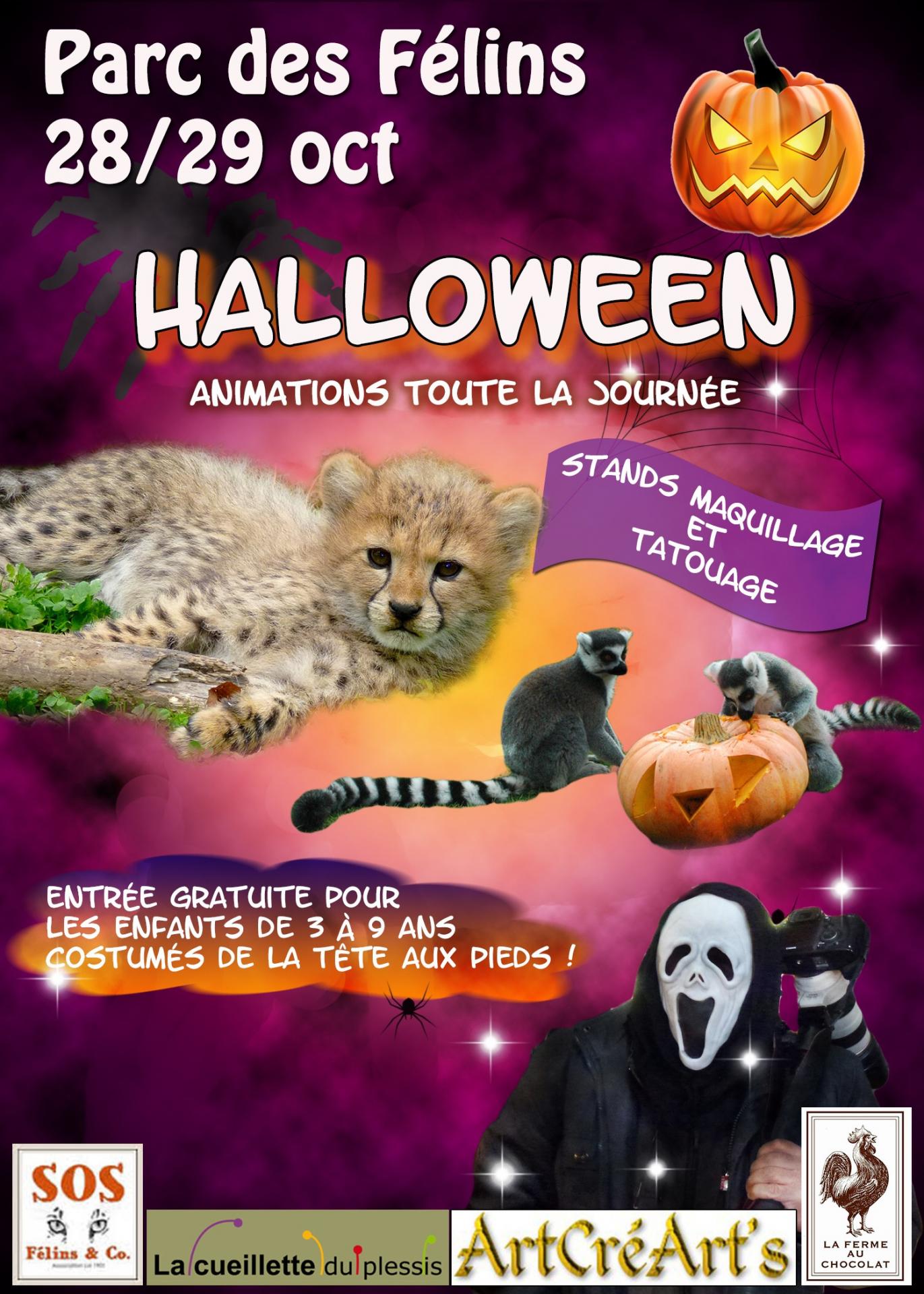 Halloween 2017
