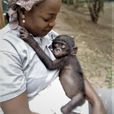 Parrainage Bonobo