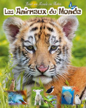 Les animaux du monde2