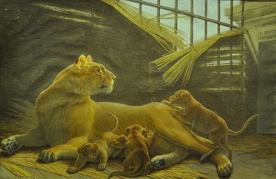 Lions