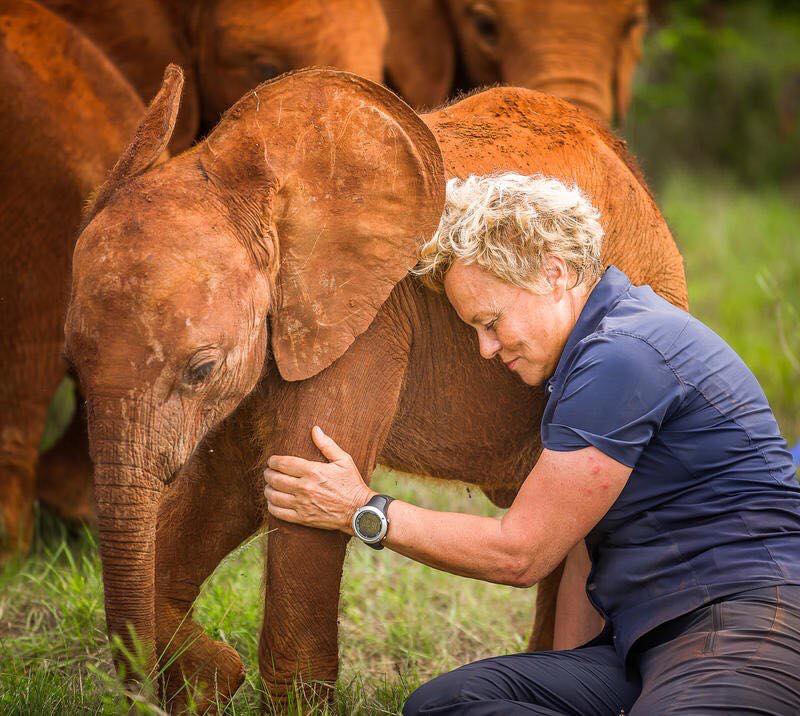 Muriel robin et un elephanteau emission sur la route des elephants du 30 10 2017