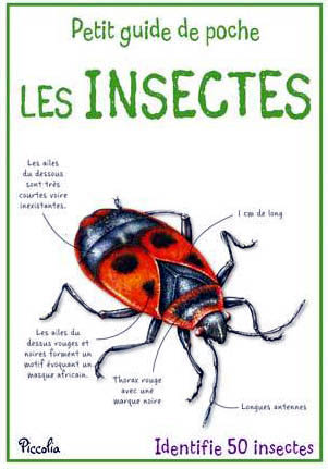 Petit guide les insectes 2 modifie 1
