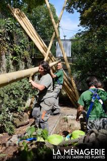 Renovation de l enclos des pandas