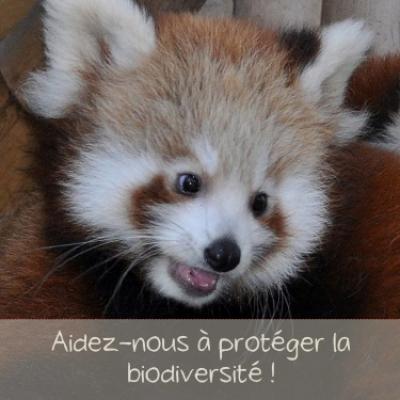 Save