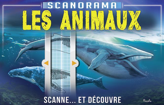 Scanorama animaux